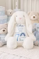 Personalised Birth Detail Mumbles Bunny