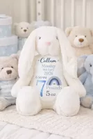 Personalised Birth Detail Mumbles Bunny